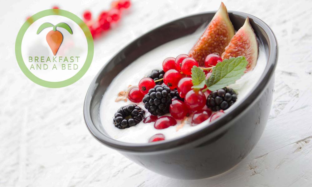 Bed and Breakfast FAQ along the Natchez Trace