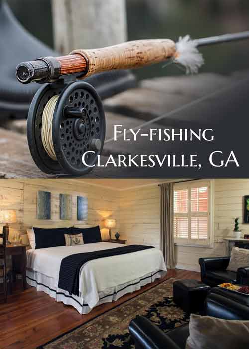 Best Bed and Breakfast 3