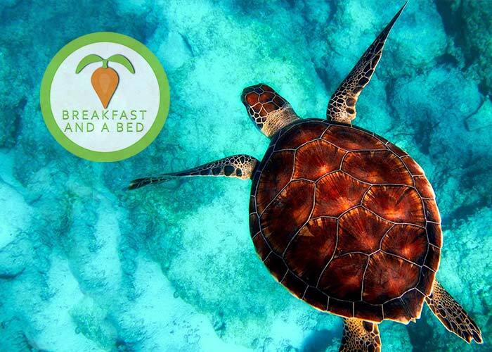 Image inspiring you to visit the United States