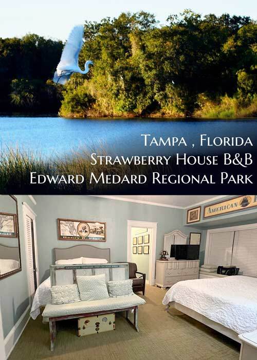 Strawberry House Bed and Breakfast