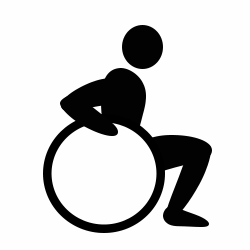 Wheelchair Icon